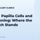 Dermal Papilla Cells and Hair Cloning: Where the Research Stands