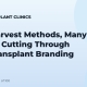 Two Harvest Methods, Many Labels: Cutting Through Hair Transplant Branding