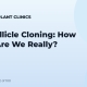 Hair Follicle Cloning: How Close Are We Really?