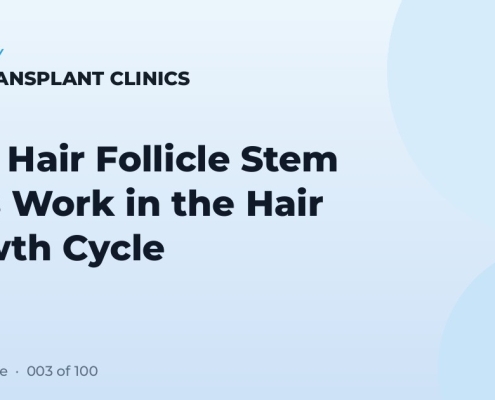 How Hair Follicle Stem Cells Work in the Hair Growth Cycle