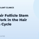 How Hair Follicle Stem Cells Work in the Hair Growth Cycle