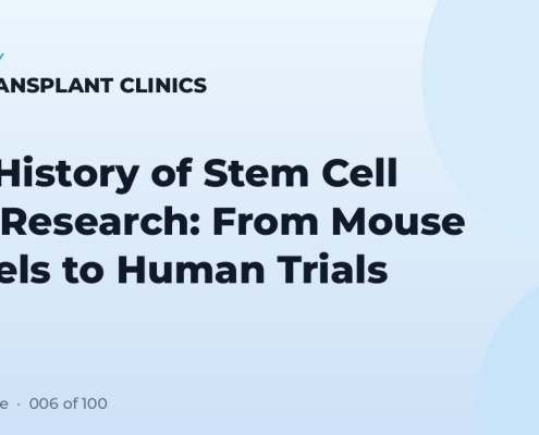 The History of Stem Cell Hair Research: From Mouse Models to Human Trials