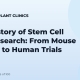 The History of Stem Cell Hair Research: From Mouse Models to Human Trials
