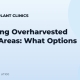 Repairing Overharvested Donor Areas: What Options Exist